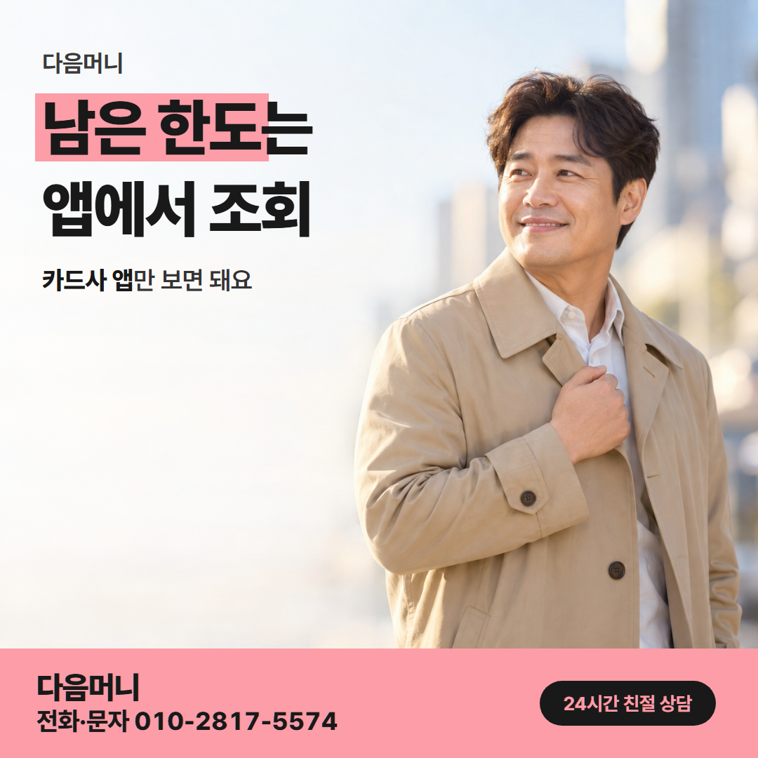 다음머니 신용카드현금화방법 한도 확인 안내